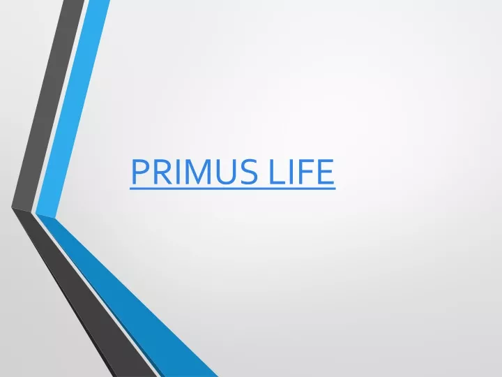 primus life