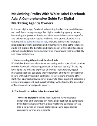 Maximizing Profits With White Label Facebook Ads