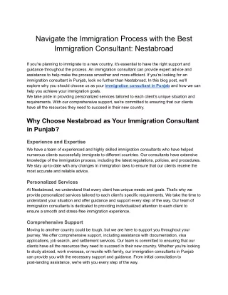 Navigate the Immigration Process with the Best Immigration Consultant- Nestabroad