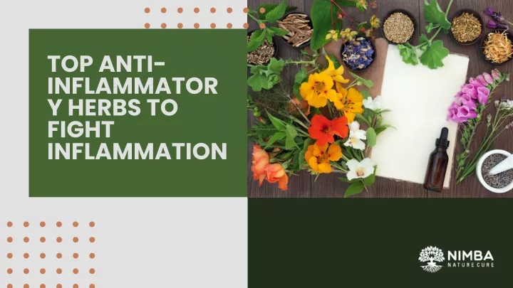 top anti inflammator y herbs to fight inflammation