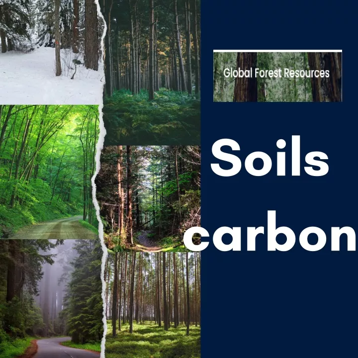 soils carbon