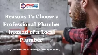 Reasons To Choose a Professional Plumber instead of a Local Plumber