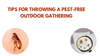 Tips for Throwing a Pest-Free Outdoor Gathering