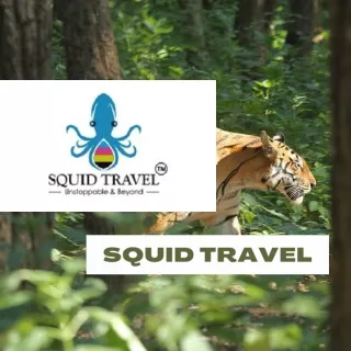 Kanha National Park Tour Package | Squid Travel