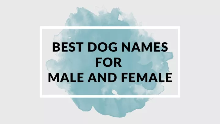 best dog names for male and female