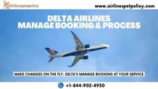 www airlinespetpolicy com