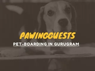 Pet Boarding Services near me