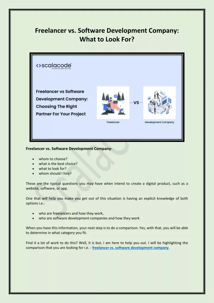 freelancer vs software development company what