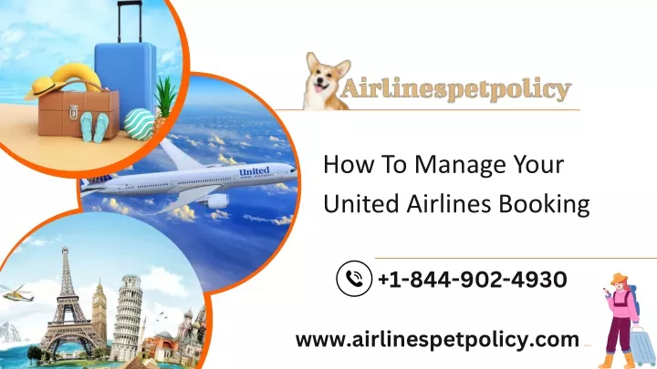how to manage your united airlines booking