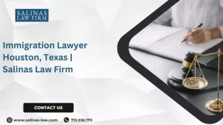 Immigration Lawyer Houston, Texas