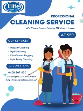 Upholstery Cleaning Deer Park