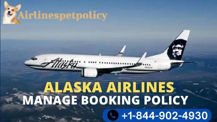 alaska airlines