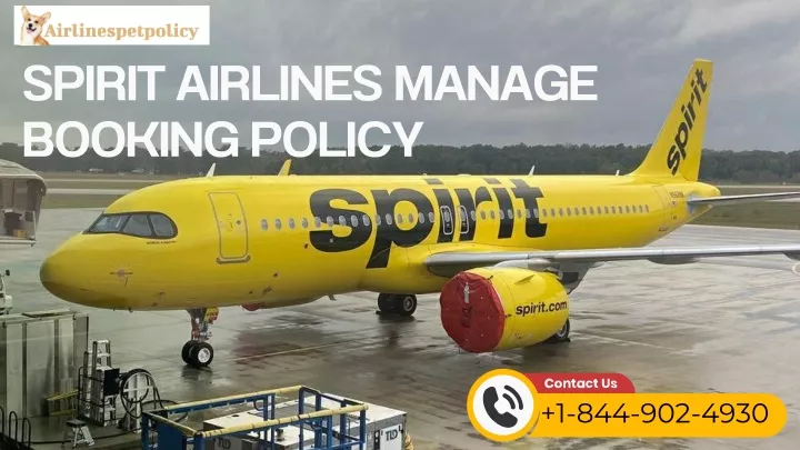 spirit airlines manage booking policy
