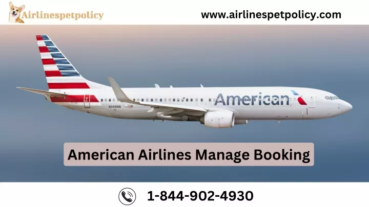 www airlinespetpolicy com