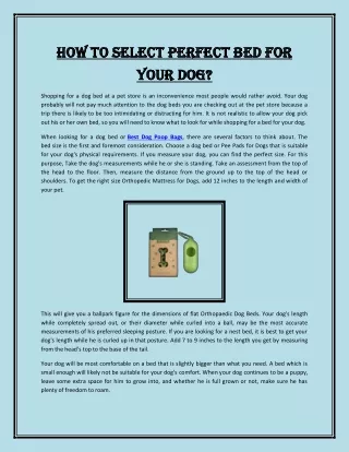 How to Select Perfect Bed for Your Dog?