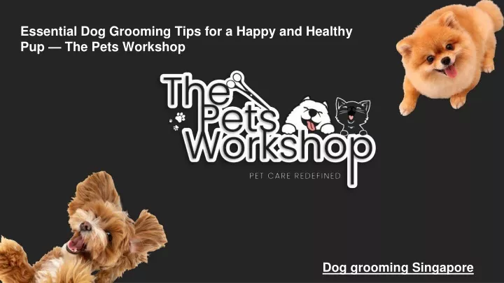 essential dog grooming tips for a happy and healthy pup the pets workshop