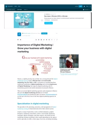 Digital Marketing Agency | SEO Services