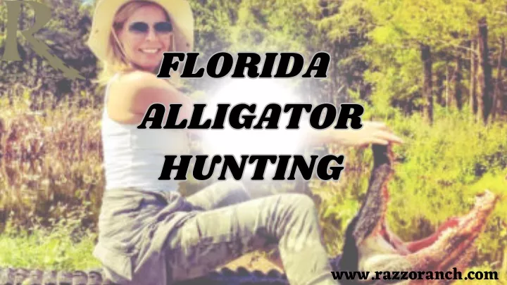 florida alligator hunting hunting