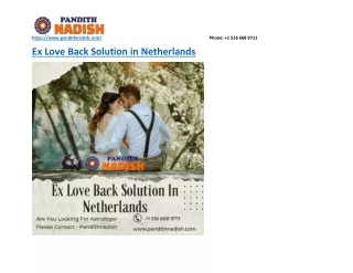 Best Ex Love Back Solution In Netherlands -pandithnadish