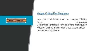 Hugger Ceiling Fan Singapore  Bestchoicelightsbath.com.sg