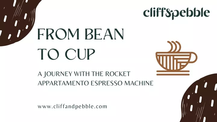 from bean to cup