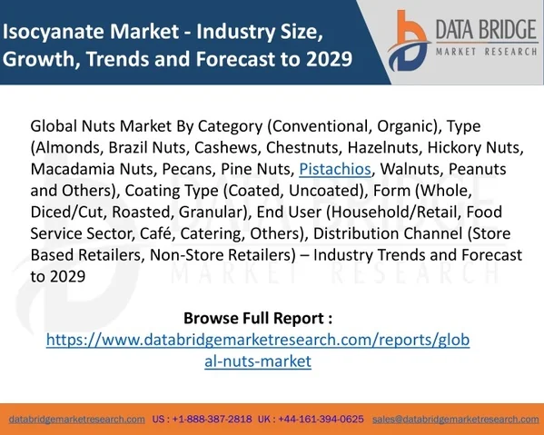 isocyanate market industry size growth trends