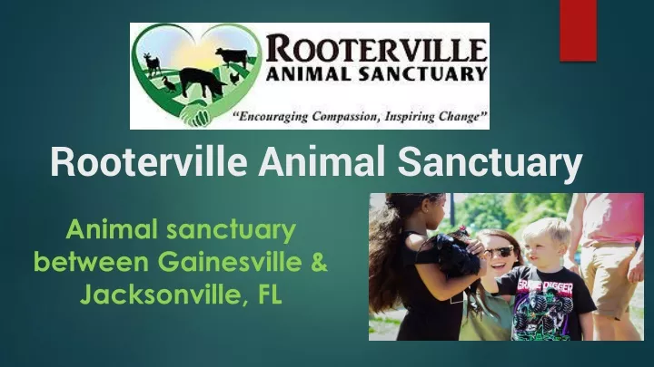 rooterville animal sanctuary