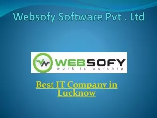 Best Software Development Company in Lucknow - Websofy Software Pvt.Ltd