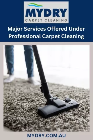 Major Services Offered Under Professional Carpet Cleaning