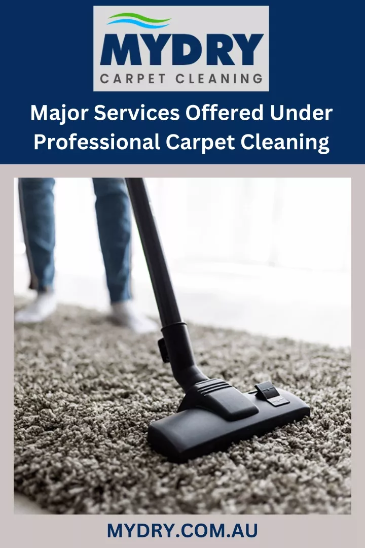 major services offered under professional carpet