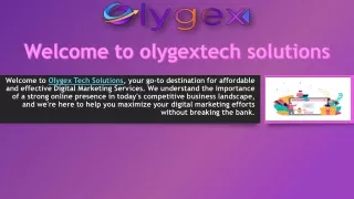 Olygex Tech Solutions, Digital Marketing Services