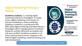 Digital Marketing Training In Mohali