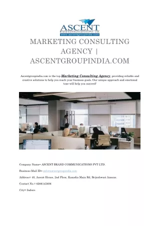 Marketing Consulting Agency. PDF
