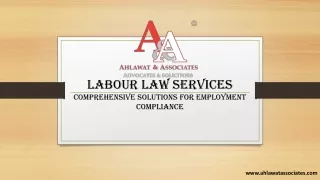Navigating Labour Law: Expert Services for Compliance