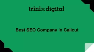 Best SEO Company in Calicut