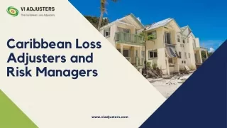 Best Loss Adjusters in Belize Islands