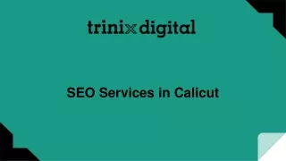 SEO Services in Calicut | SEO Agency Calicut