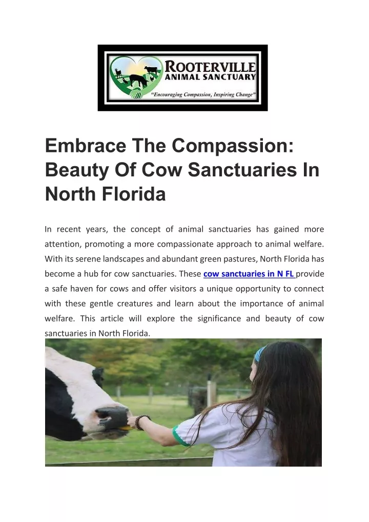 embrace the compassion beauty of cow sanctuaries