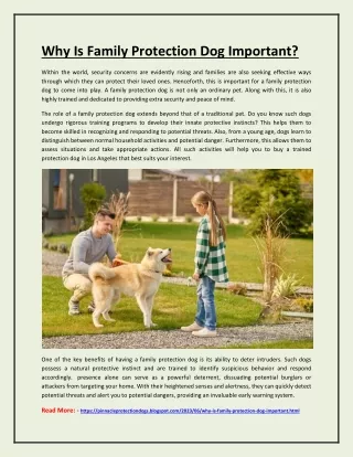 Why Is Family Protection Dog Important?