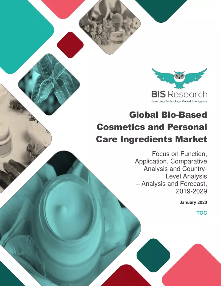 global bio based cosmetics and personal care