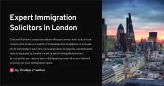 Expert Immigration Solicitors in London