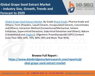 global grape seed extract market industry size