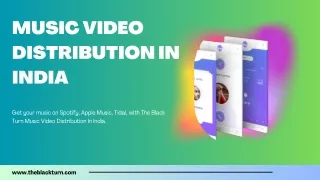 Music Video Distribution In India
