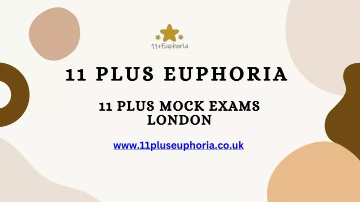 11 plus euphoria