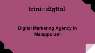 Digital Marketing Agency in Malappuram