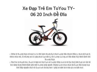 Xe Đạp Trẻ Em ToYou TY-06 20 Inch Đề Đĩa