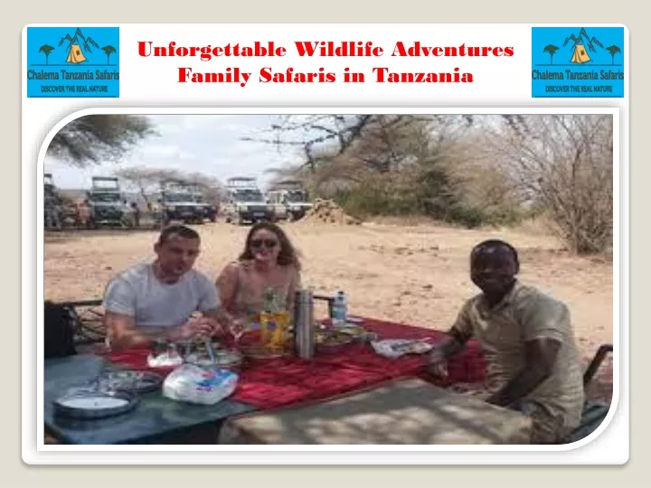 unforgettable wildlife adventures family safaris
