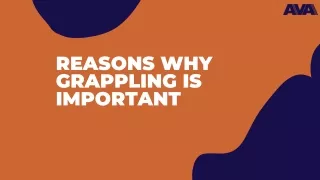 Reasons Why Grappling Is Important