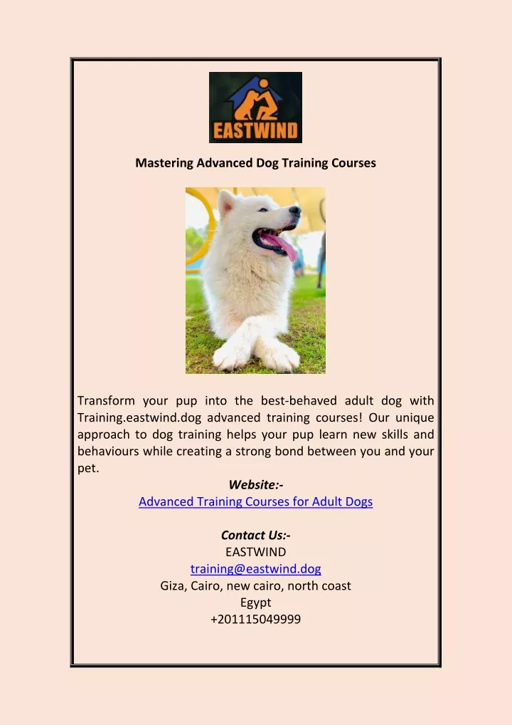 mastering advanced dog training courses