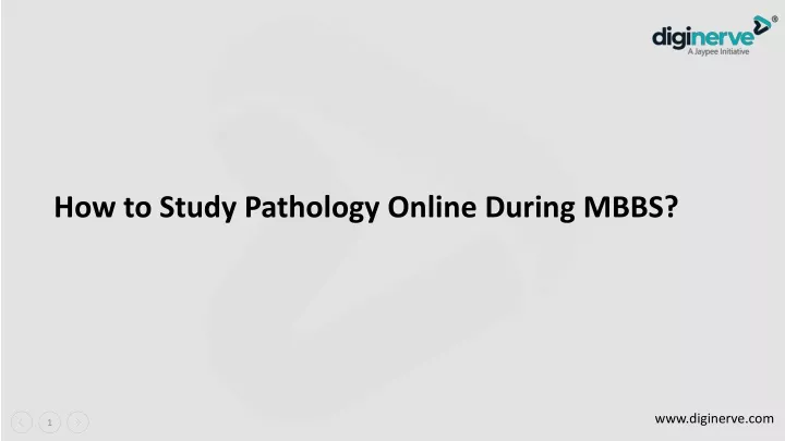 how to study pathology online during mbbs